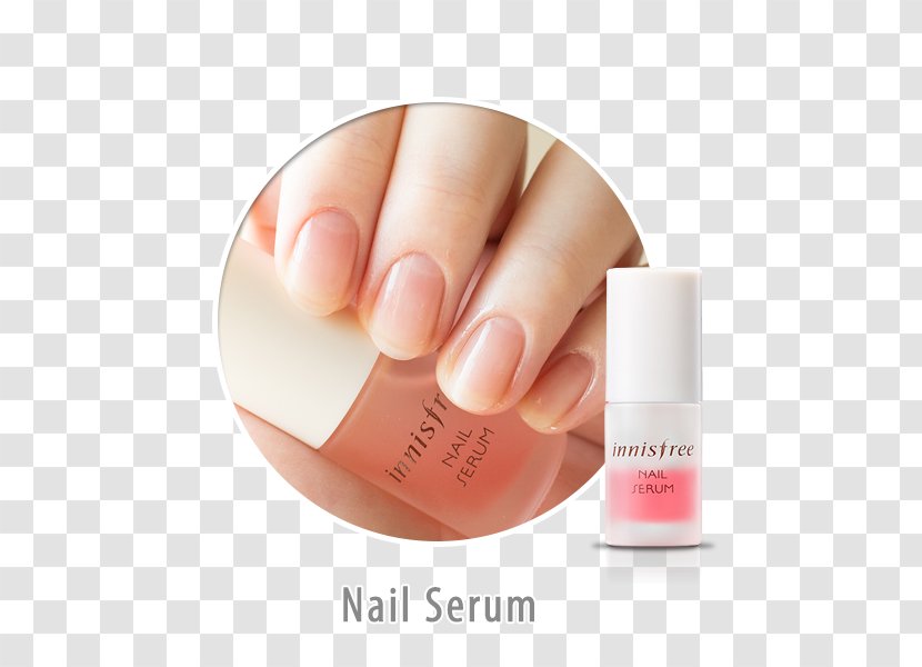 Nail Polish Lip Balm Manicure Cosmetics - Tree Transparent PNG