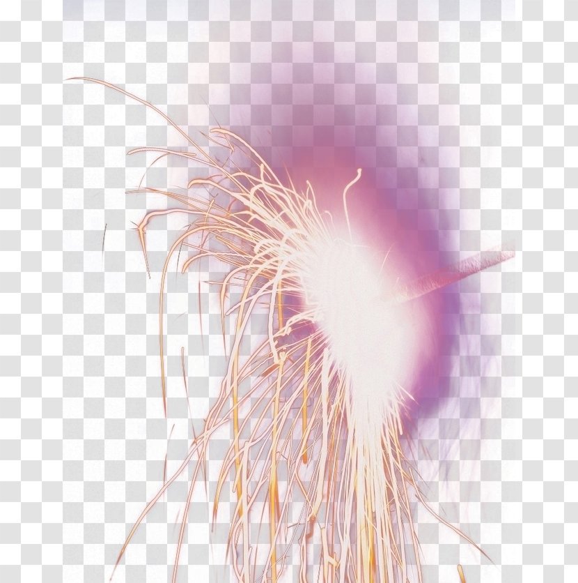 Close-up Feather Computer Wallpaper - Closeup - Fireworks Transparent PNG