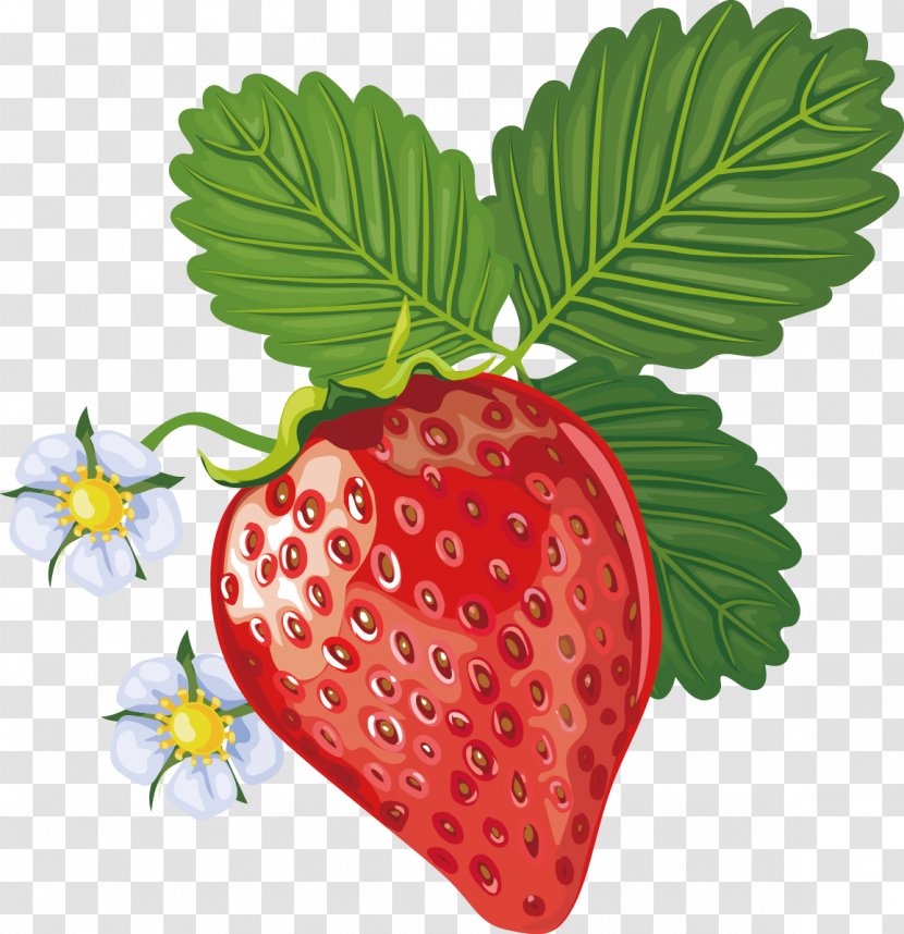 Strawberry Accessory Fruit Aedmaasikas - Strawberries - Decorative Design Vector Transparent PNG