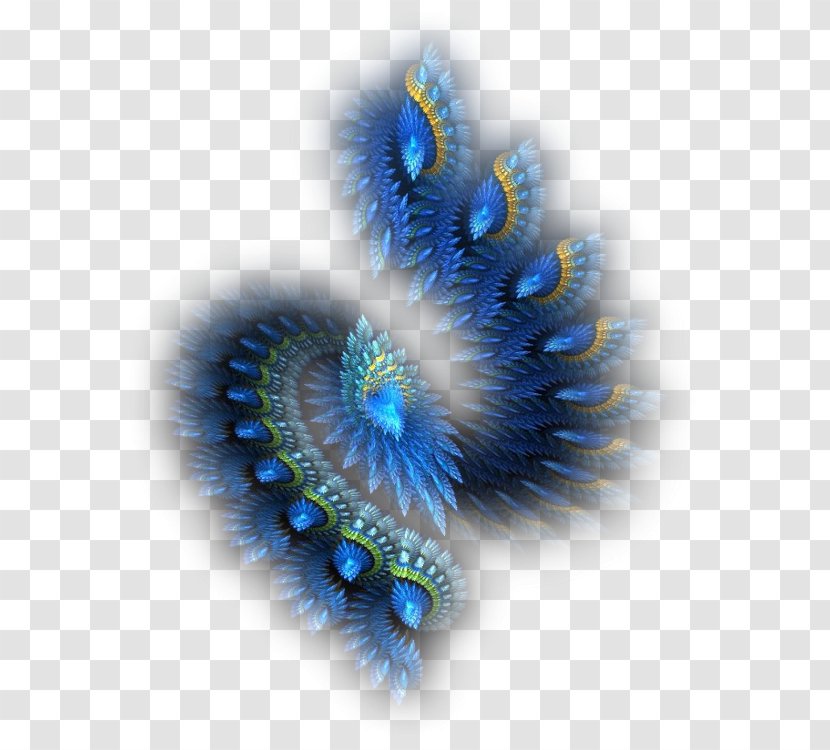 Fractal - Dimension - Marine Biology Transparent PNG