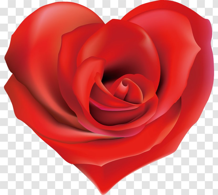 Desktop Wallpaper Rose Download Clip Art - Heart Transparent PNG