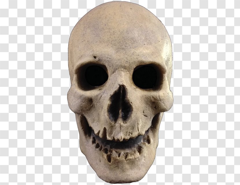 Mask Skull Halloween Costume Human Skeleton - Masked Transparent PNG