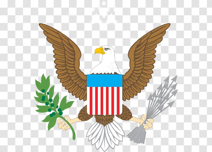 Great Seal Of The United States Bald Eagle Coat Arms Flag - American Transparent PNG