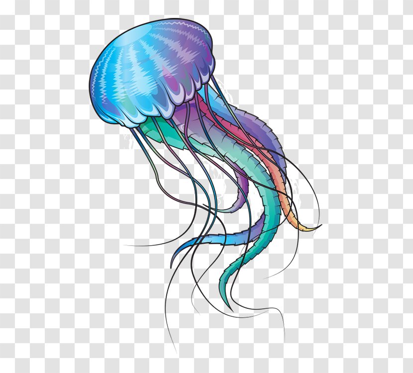 Blue Jellyfish Marine Invertebrates Ocean - Violet - Jelly Transparent PNG