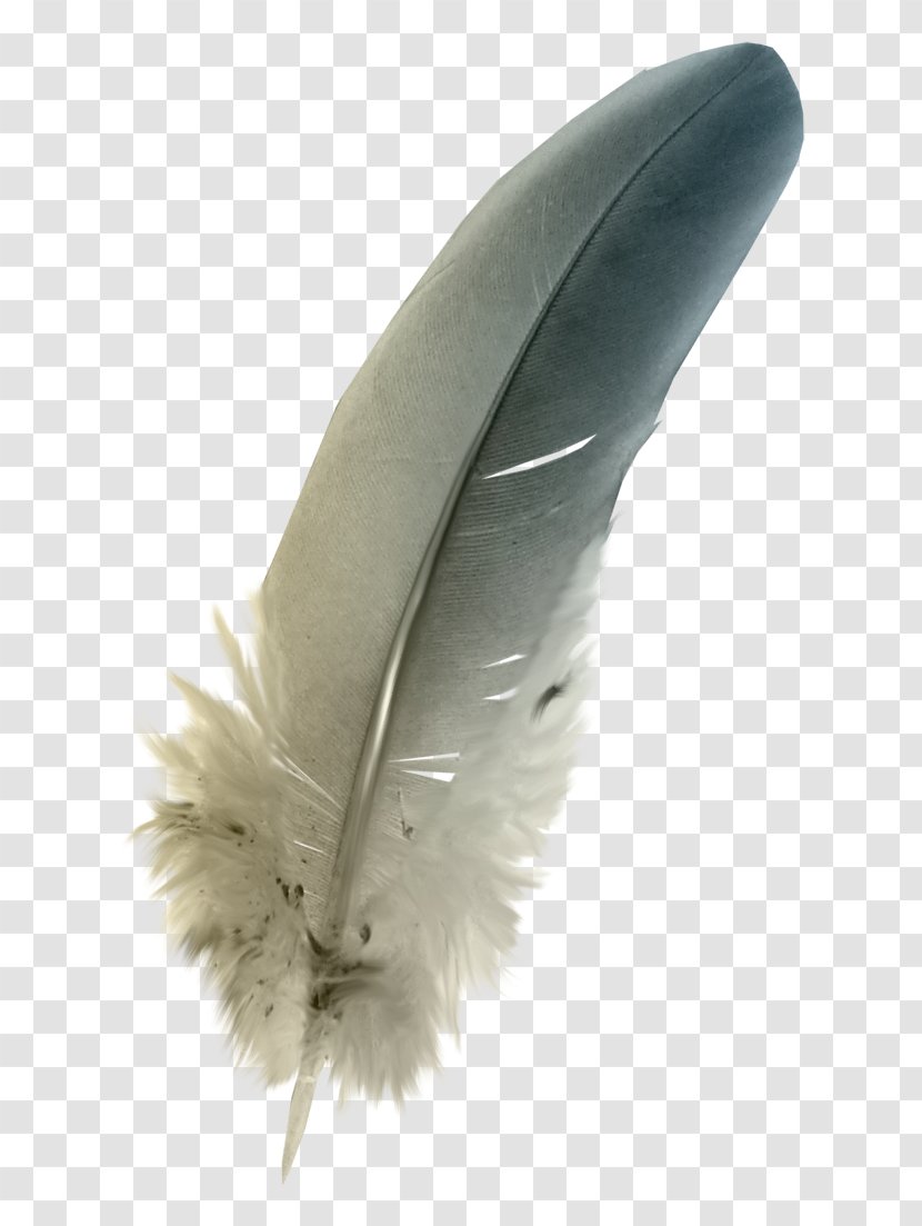 The Floating Feather Quill - Sea Lighthouse Transparent PNG