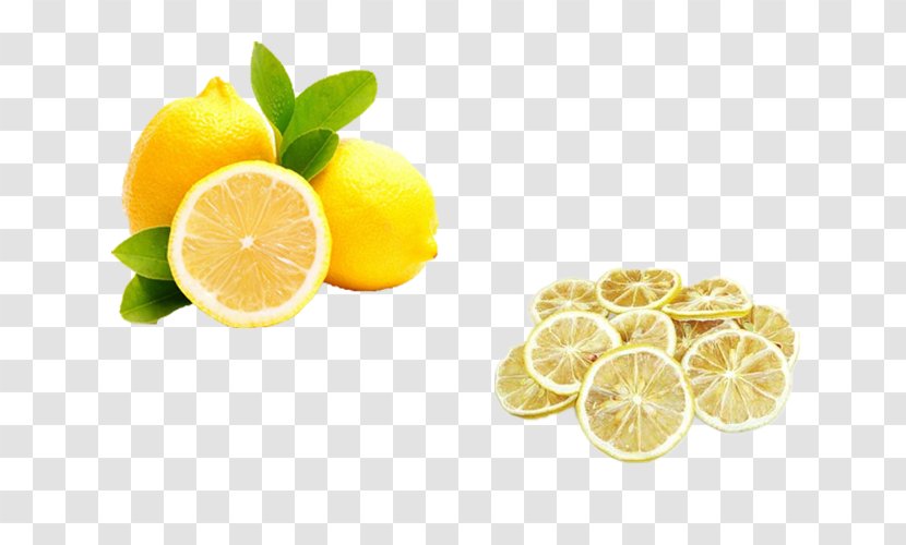 Aguas Frescas Lemonade Lemon Juice Apple Cider Vinegar - Fruchtsaft - Fresh And Slices Transparent PNG