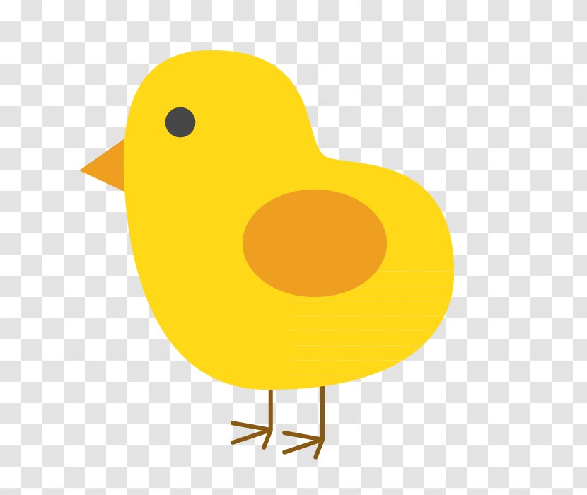 Kifaranga Duck Drawing - Water Bird Transparent PNG