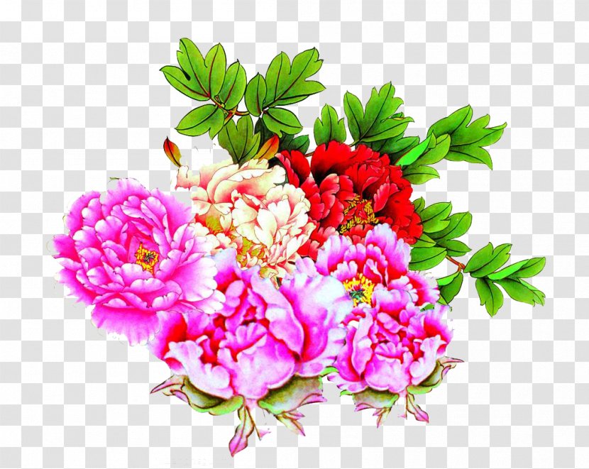 China Moutan Peony - Falun Gong - Bright Flowers Transparent PNG