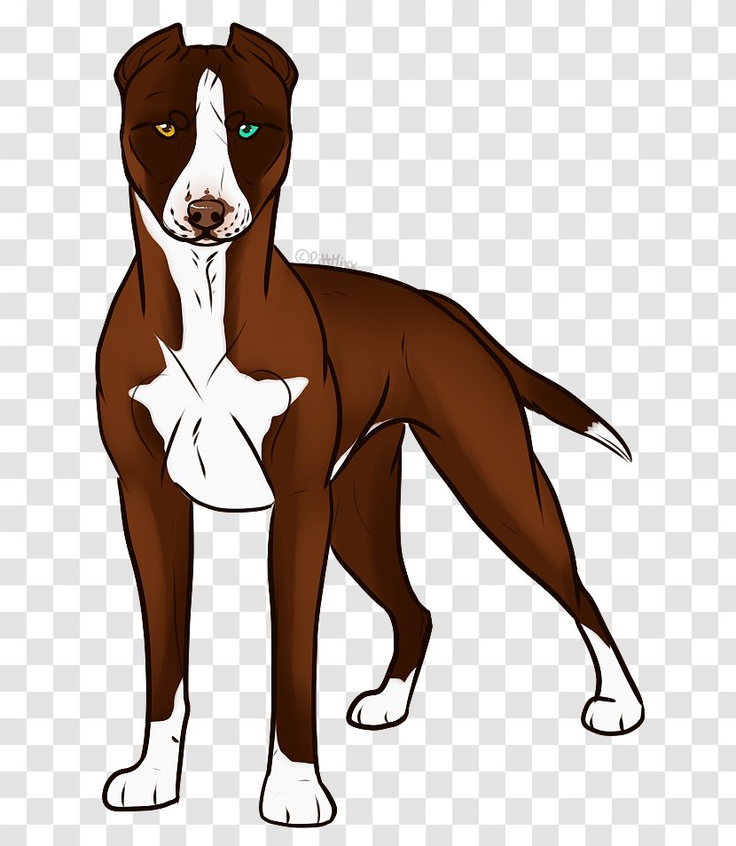 Dog Breed Vertebrate Canidae Mammal - Snout - Pitbull Transparent PNG