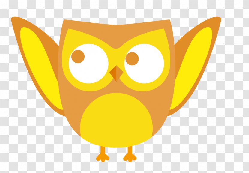 Owl - Beak - Cute Transparent PNG