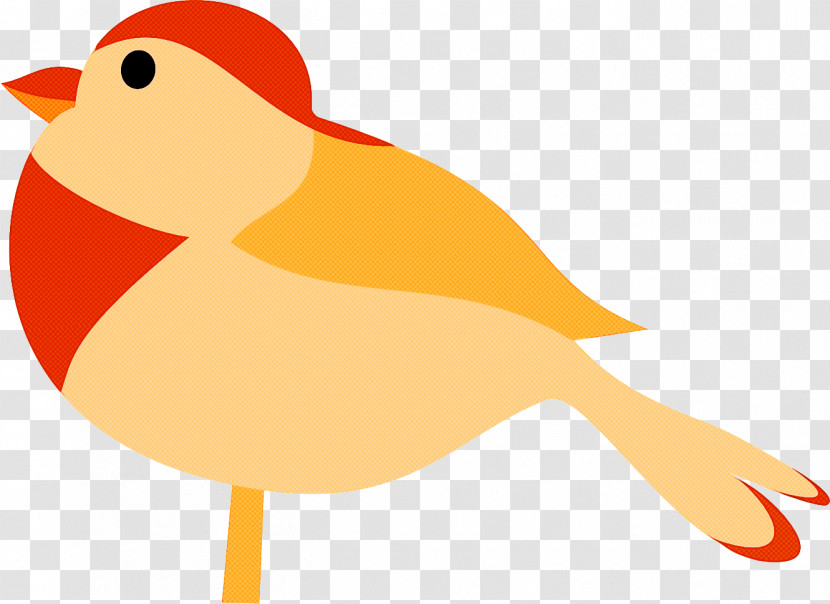 Bird Beak European Robin Songbird Finch Transparent PNG