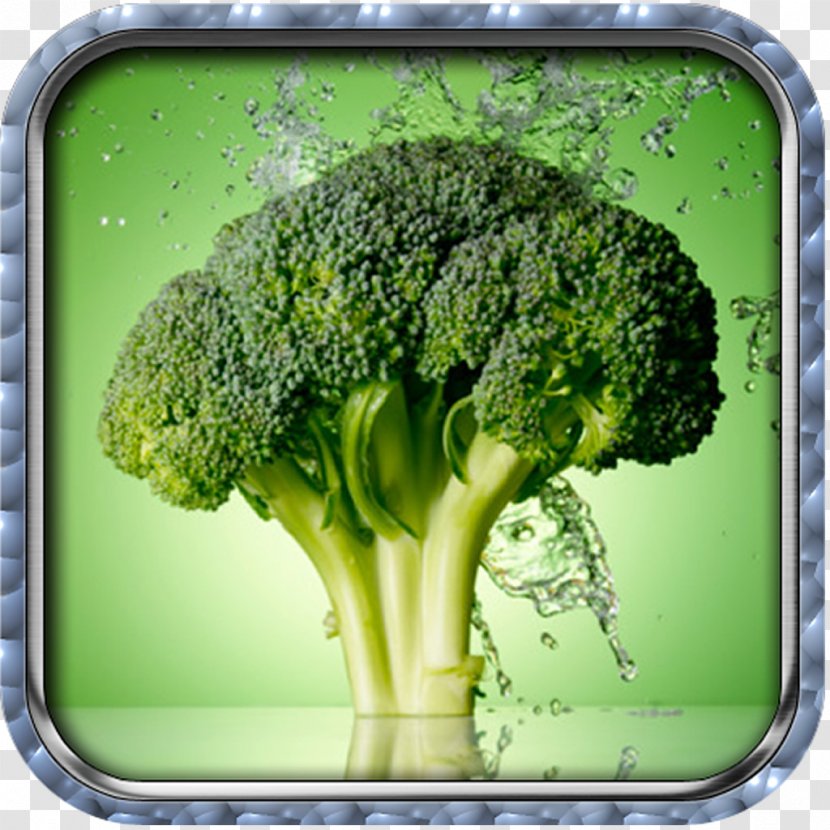 Broccoli Cancer Cruciferous Vegetables Superfood Transparent PNG