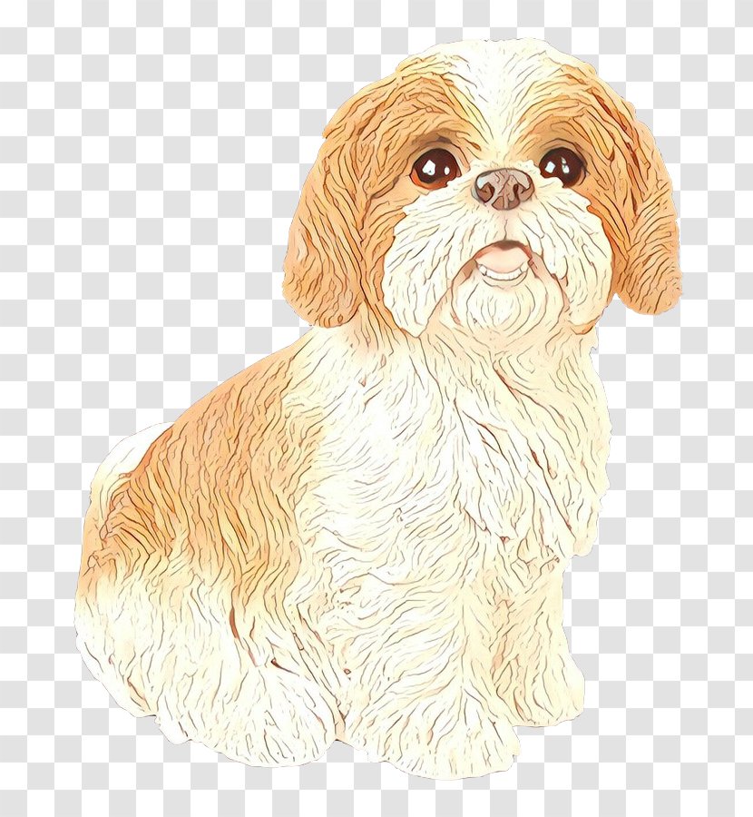 Schnoodle Shih Tzu Havanese Dog Cockapoo Lhasa Apso - Sporting Group Transparent PNG