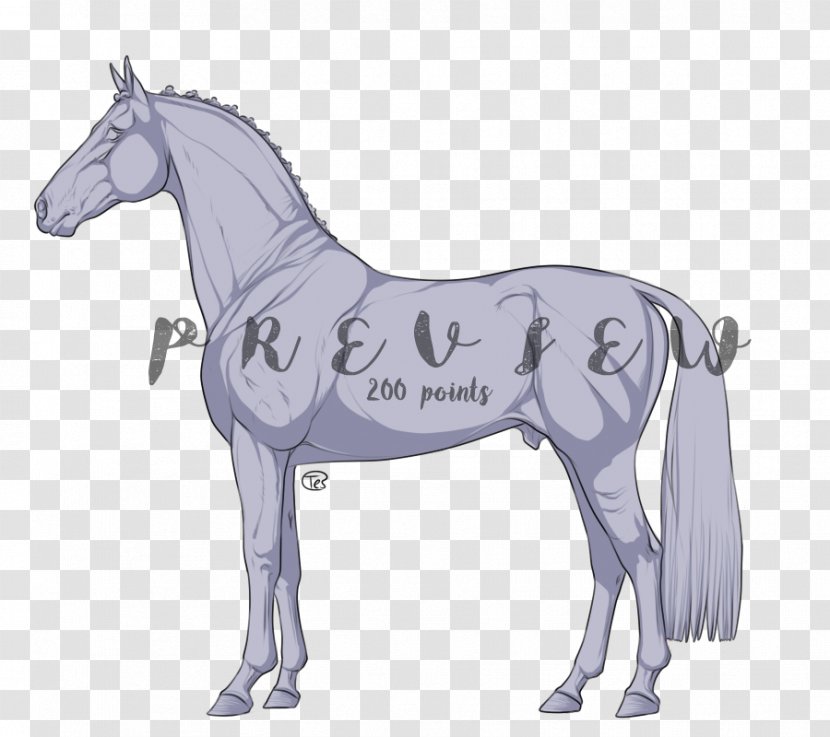 Mule Pony Mare Art Stallion - Mustang Transparent PNG