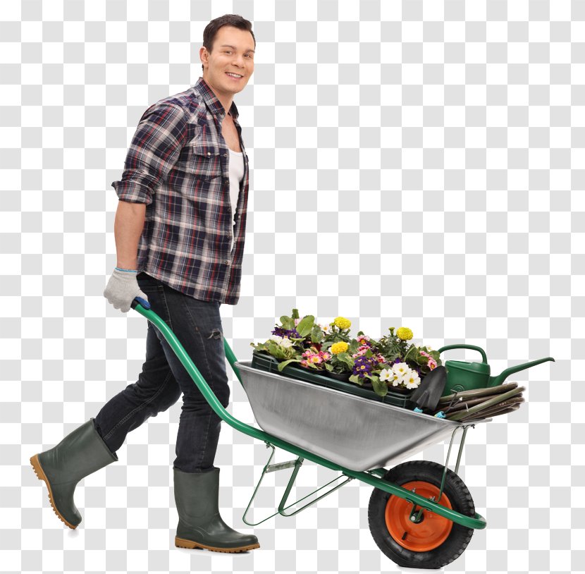 Wheelbarrow Stock Photography - Flower - Career Coach Transparent PNG