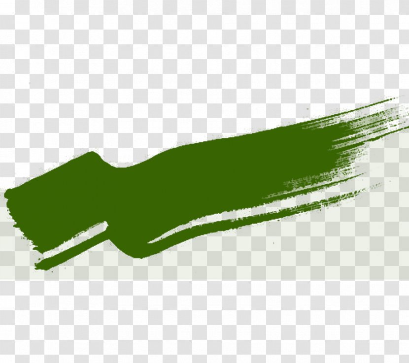 Green Design Adobe Photoshop Image - Logo - Brushes Ornament Transparent PNG