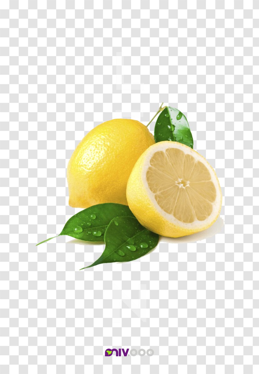 Sweet Lemon Key Lime - Persian Transparent PNG