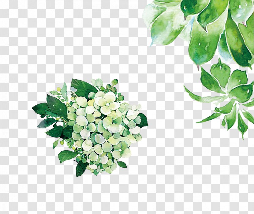 Watercolor Painting Image Design Vector Graphics - Petal - Branch Transparent PNG