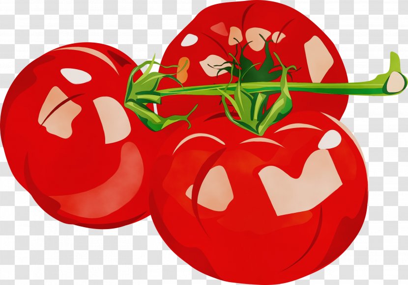 Tomato - Vegetable - Food Transparent PNG