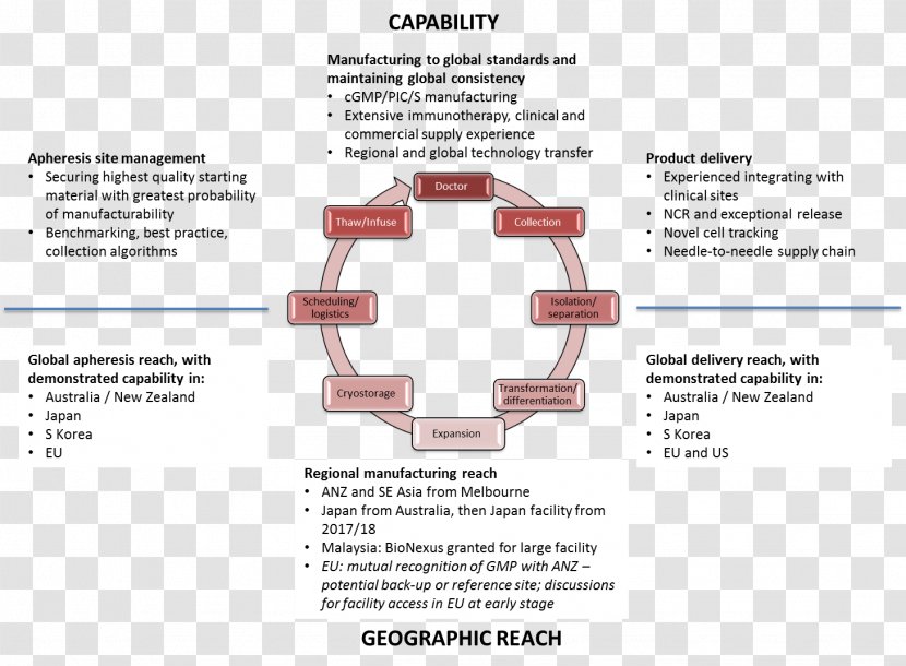 Project Management Software Development Process Systems Life Cycle Application Lifecycle - Peter Maccallum Cancer Centre Transparent PNG