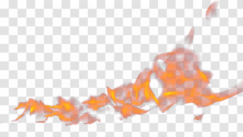 Light Flame Fire - Combustion Transparent PNG