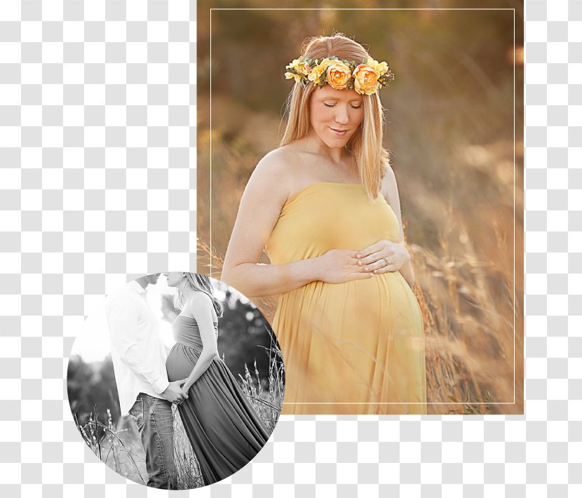 Jackson Maternity Clothing Gown Photography Centre - Pregnancy - Photographer Transparent PNG
