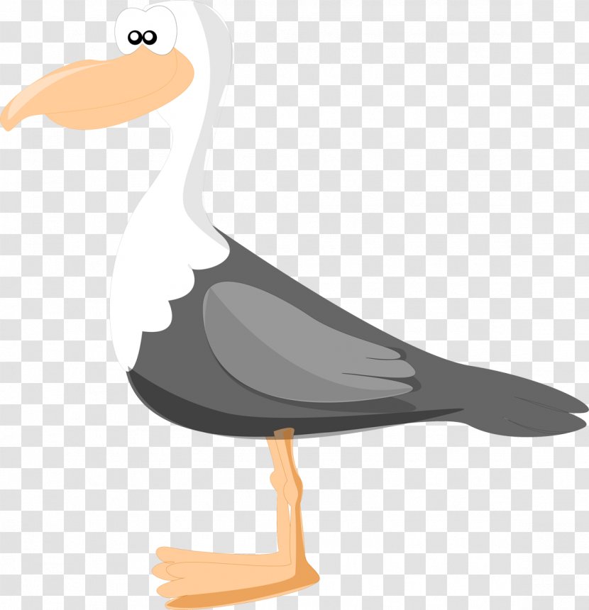 Large White-headed Gulls Bird Duck Drawing - Charadriiformes Transparent PNG