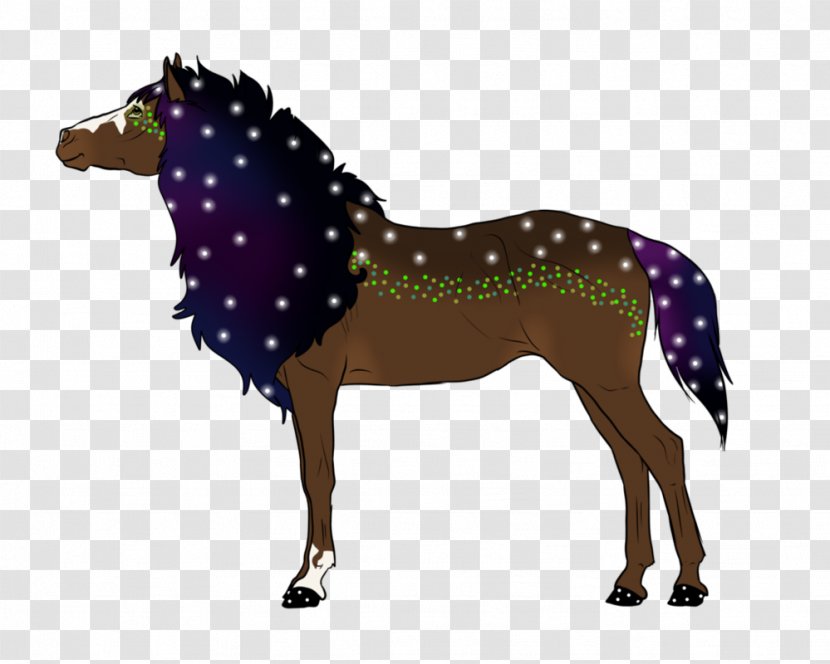 Mustang Foal Stallion Colt Mare - Mammal Transparent PNG