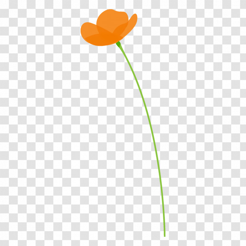 Poppy Flower Transparent PNG