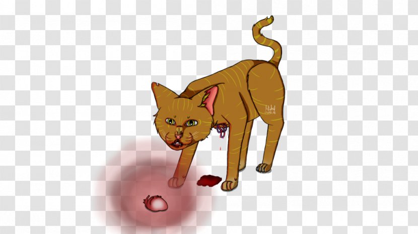 Kitten Whiskers Cat Dog Illustration - Blaze Emotions Transparent PNG