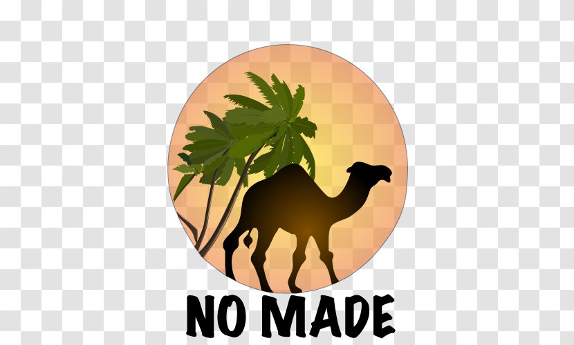 Camel Silhouette Decal Clip Art - Like Mammal - TAJINE Transparent PNG