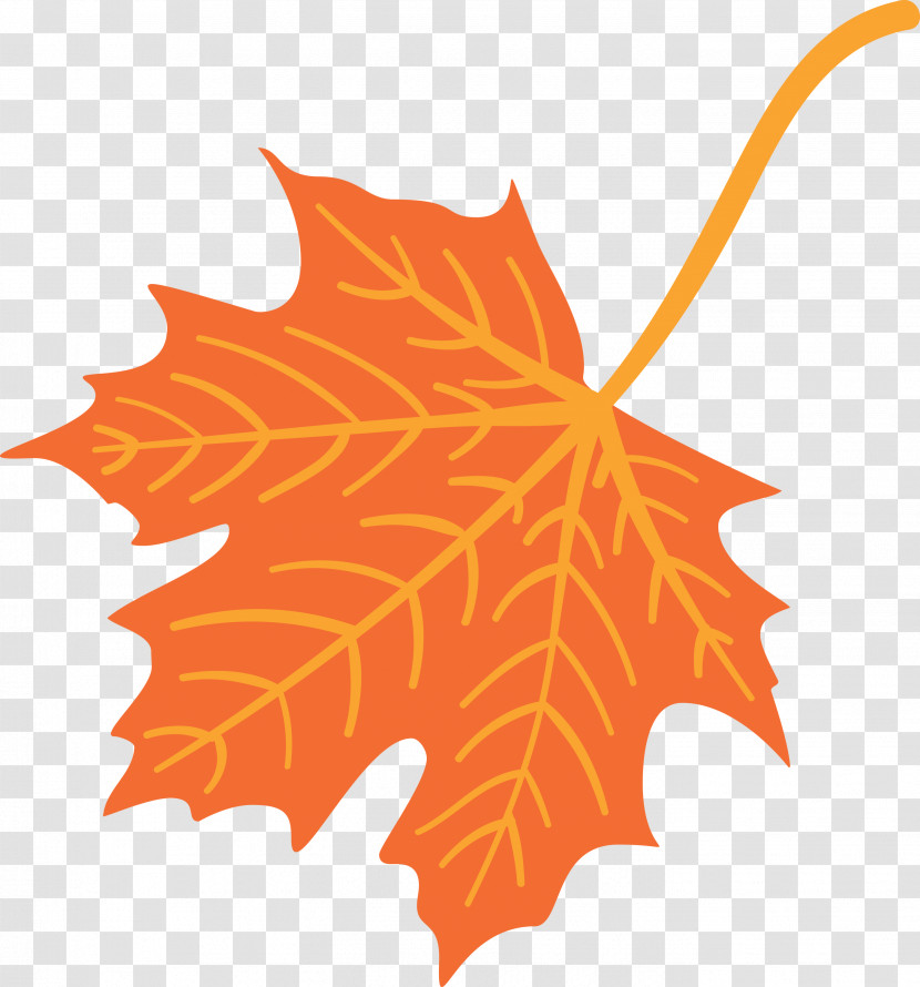 Autumn Leaf Colourful Foliage Colorful Leaves Transparent PNG