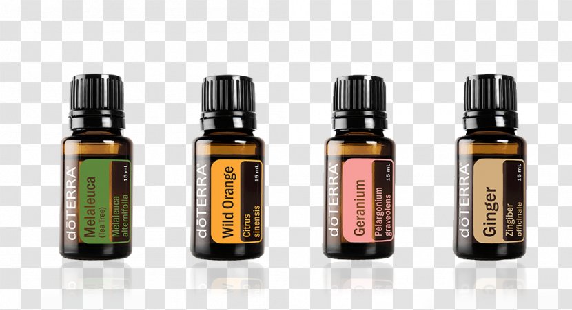 DoTerra Bergamot Essential Oil Aromatherapy Transparent PNG