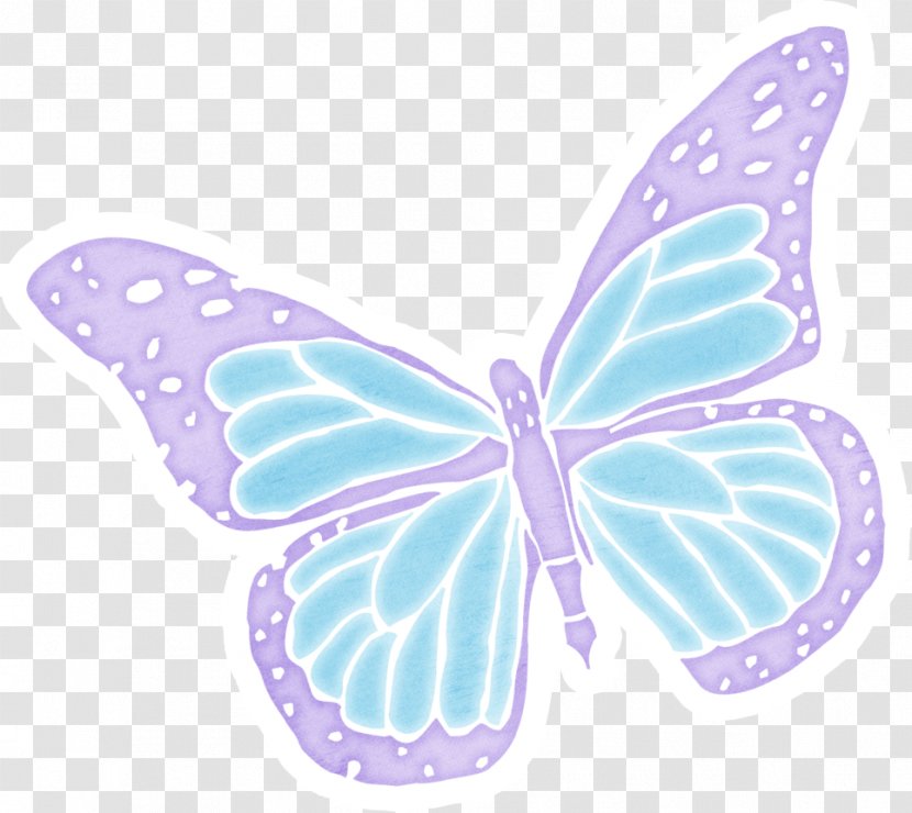 Butterfly Chart - Wing Transparent PNG