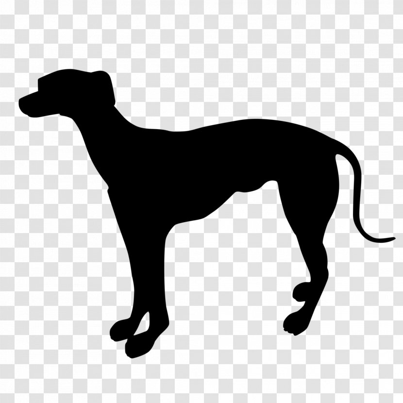 Italian Greyhound Whippet Sloughi Spanish - Silhouette Transparent PNG