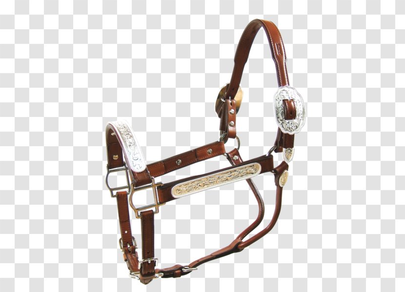 Halter Horse Tack Lead Showmanship - Three Swing Fire Pit Transparent PNG