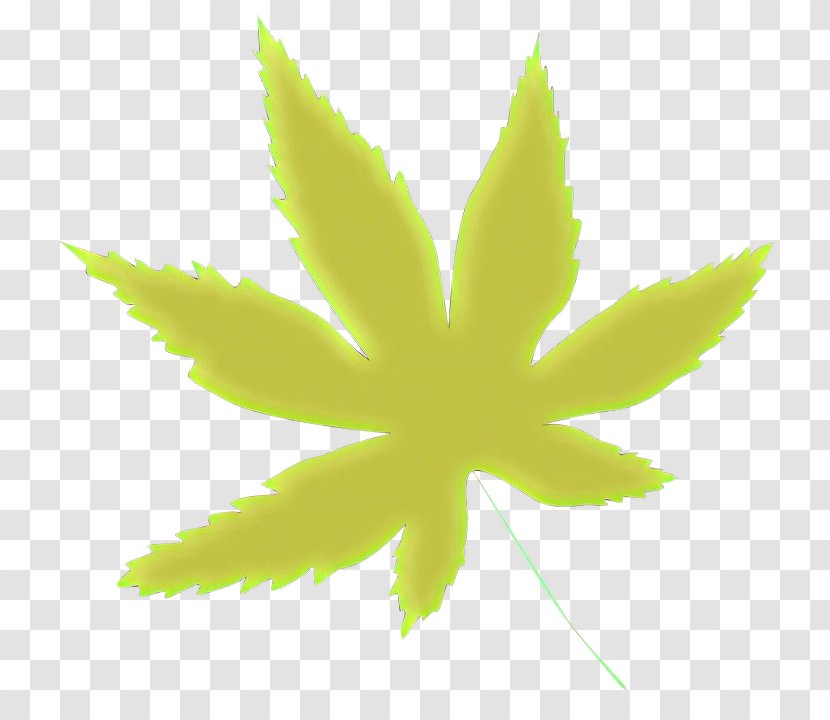 Plane - Yellow - Weed Transparent PNG