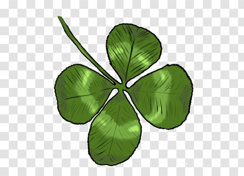 Four-leaf Clover Petal Flower Drawing - Herbaceous Plant Transparent PNG