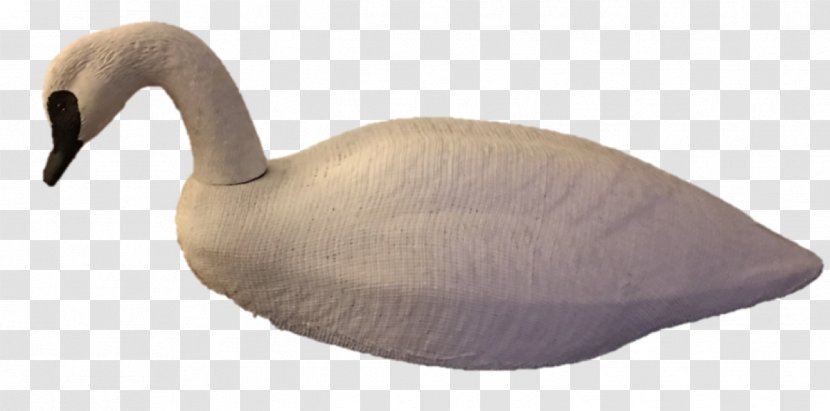 Goose Duck Beak Animal - Jemima Puddle Transparent PNG