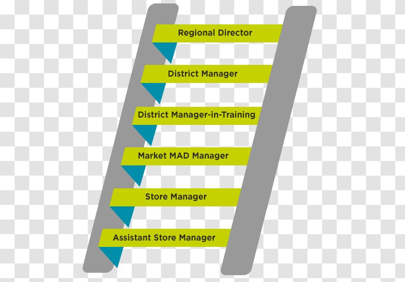 Career Ladder Retail Management Organization Transparent PNG