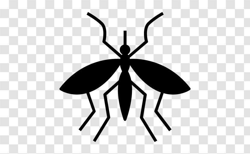 Mosquito Malaria Fly Vector Clip Art - Chikungunya Virus Infection Transparent PNG