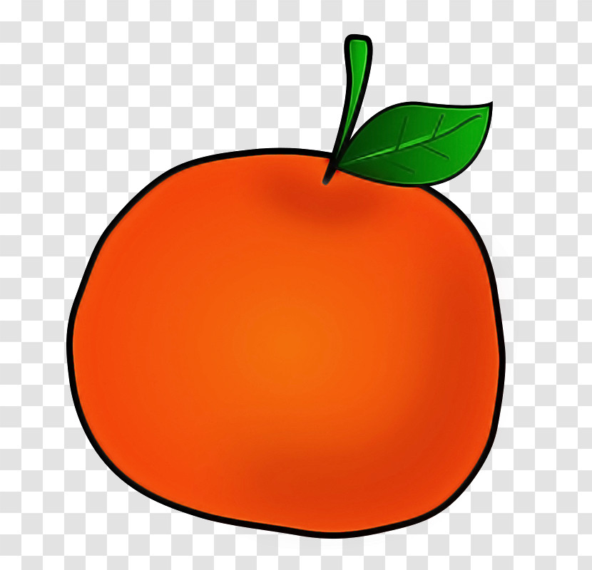 Orange Transparent PNG