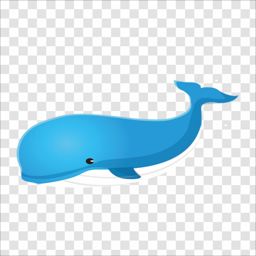 Right Whales Blue Whale - Azure Transparent PNG