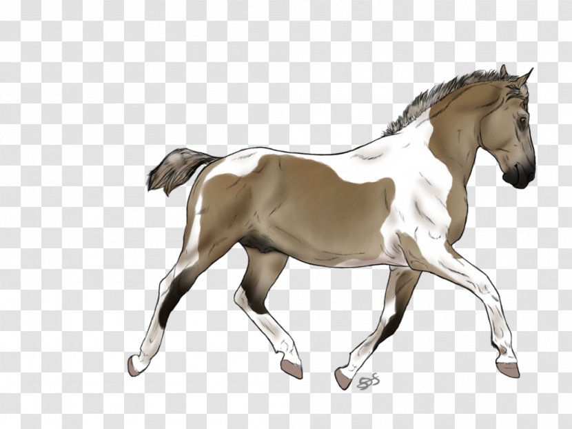 Foal Mare Mustang Stallion Mane - Horse Harness - Sea Bunnies Breeding Transparent PNG