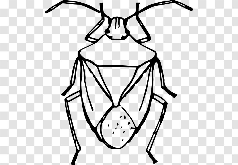 Brown Marmorated Stink Bug Insect Drawing Clip Art - Green Transparent PNG