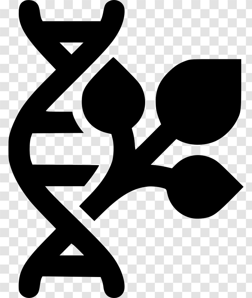 Genetically Modified Organism Clip Art - Nucleic Acid Double Helix - Artwork Transparent PNG