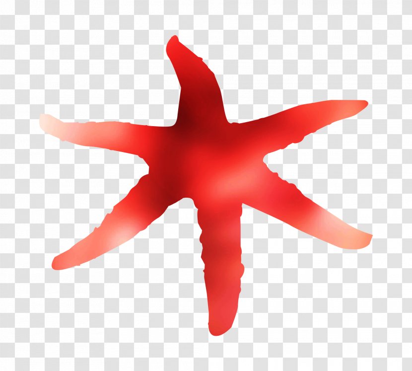 Starfish RED.M - Marine Invertebrates - Echinoderm Transparent PNG