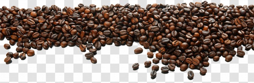Coffee Bean Tea Cafe - Beans Background Transparent PNG