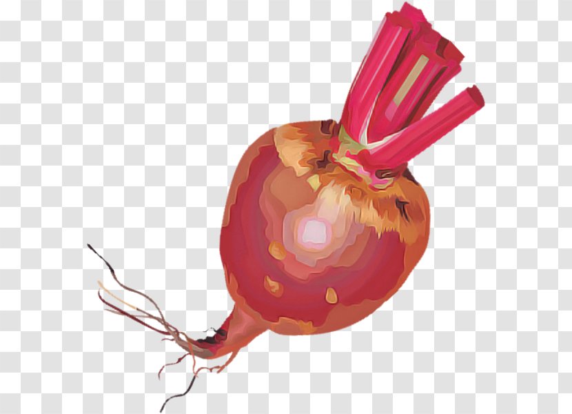 Yellow Onion Vegetable Food Plant - Shallot Allium Transparent PNG