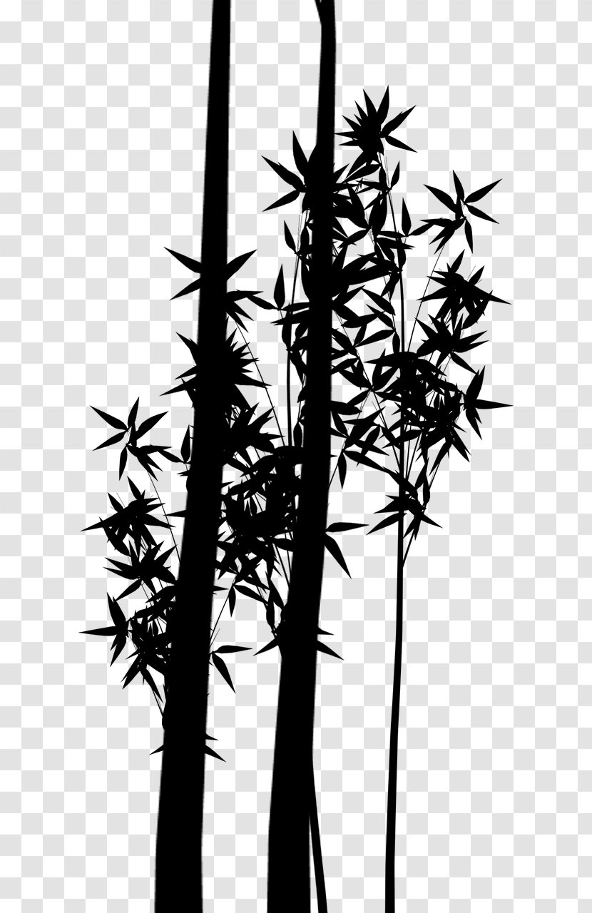 Silhouette Plant Stem Bamboo Branching Plants - Flower - Terrestrial Transparent PNG